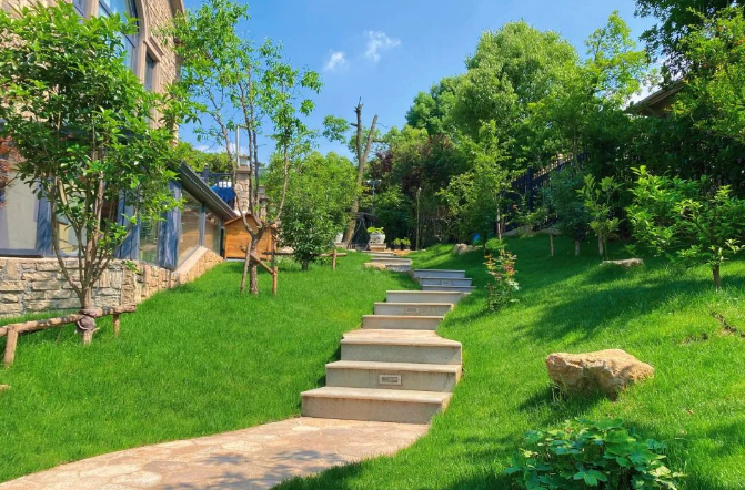 花園秋季補(bǔ)種草坪的注意事項(xiàng)